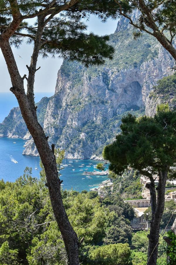 Villa Lia Hotel Κάπρι Εξωτερικό φωτογραφία