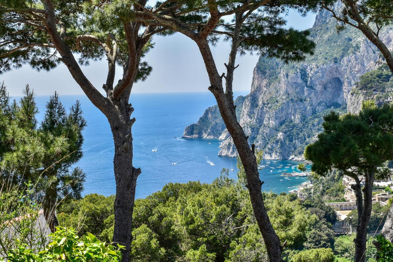Villa Lia Hotel Κάπρι Εξωτερικό φωτογραφία